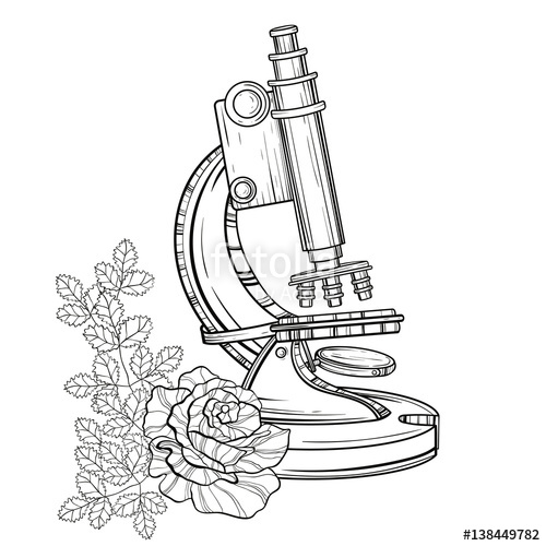 500x500 Vector Old Microscope With Roses. Vintage Hand Drawn Illustration