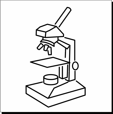 397x400 Microscope 01