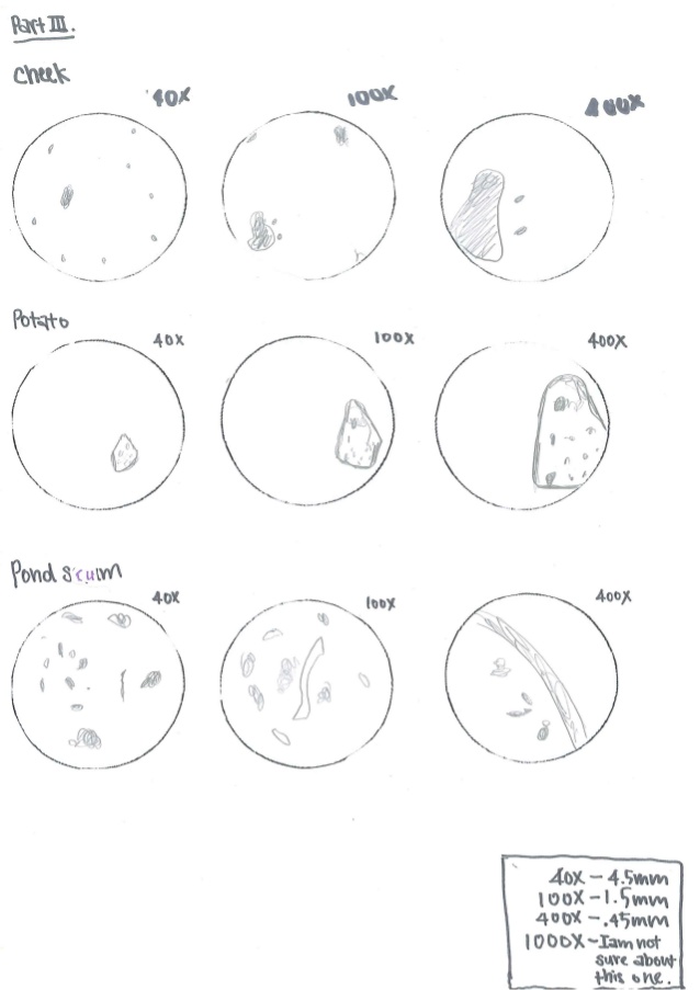 638x903 Microscope Lab
