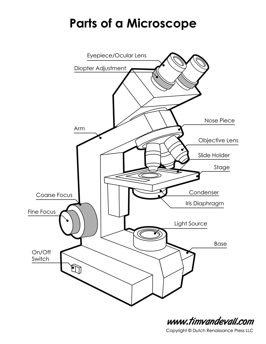 927x1200 Microscope Diagram