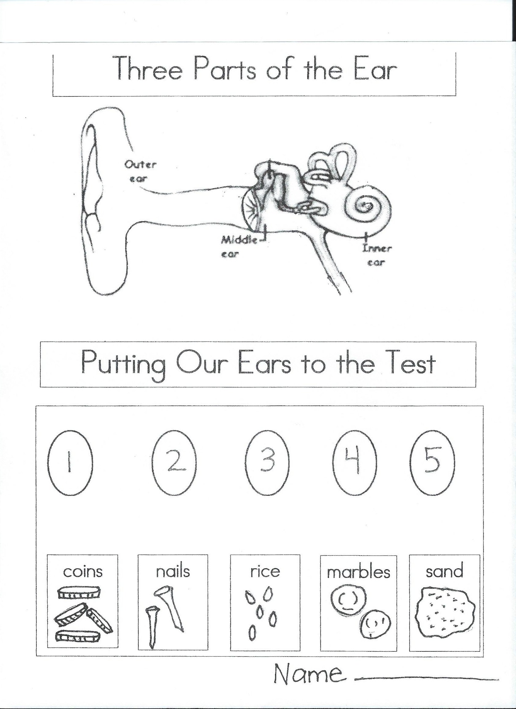 1700x2338 Show Document