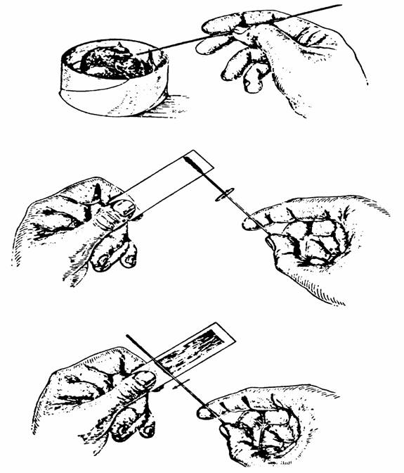 575x672 Mlab1331 Lab Manual