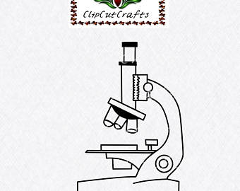 340x270 Microscope Svg Etsy