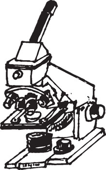 219x350 Search Results