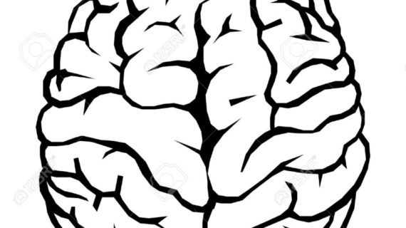 570x320 Simple Drawing Of A Brain How To Draw A Brain