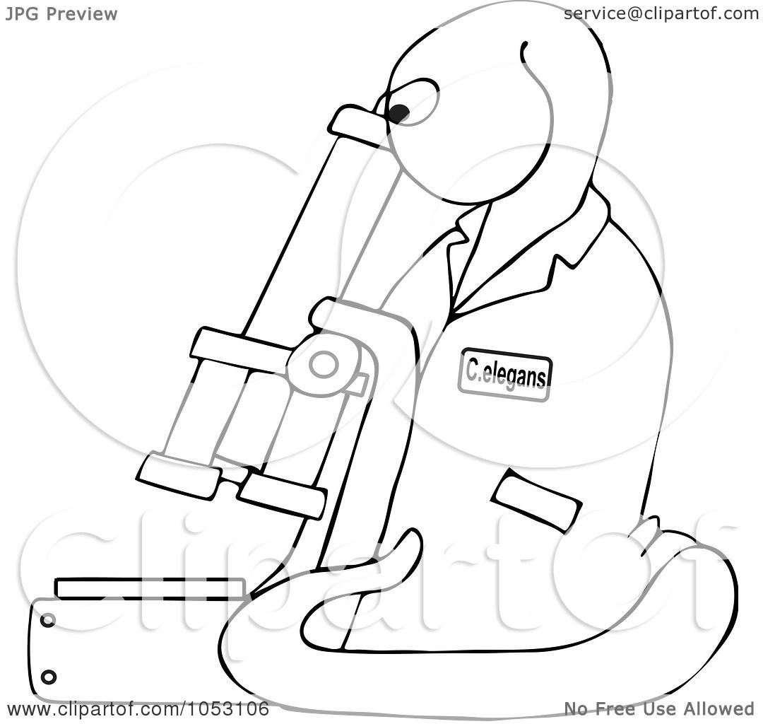 1080x1024 Royalty Free Vector Clip Art Illustration Of An Outline Of C