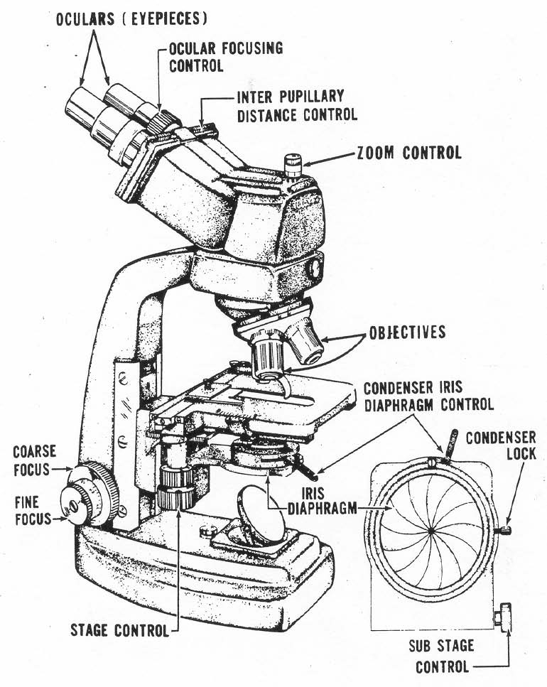 770x967 Index Of Medtechhematology01