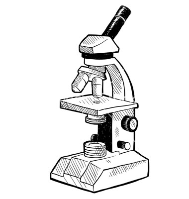 380x400 Microscope Drawing Clipart Panda