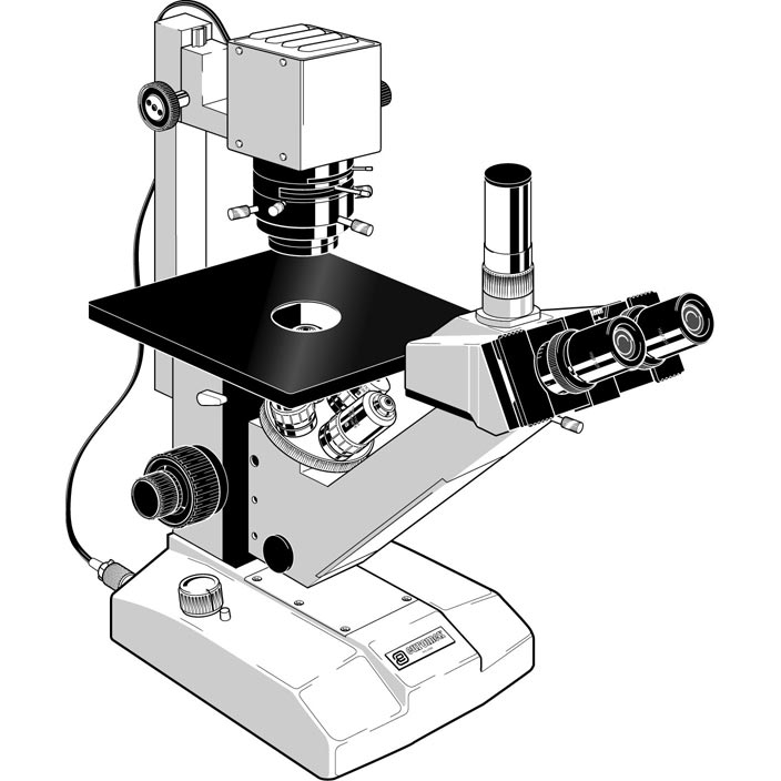704x704 Euromex Trinocular Inverted Microscope For Bright Field F En G