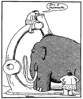 283x339 Microscope History