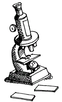 200x330 Untitled Document