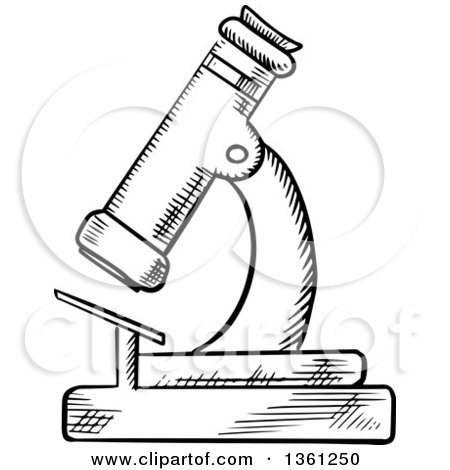 450x470 Clipart Of A Black And White Sketched Microscope