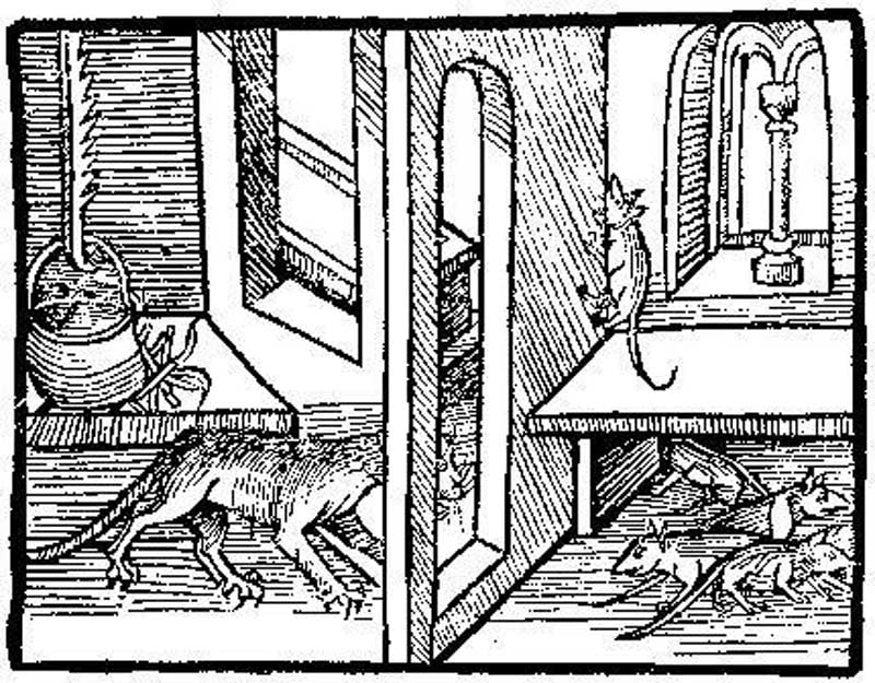 800x625 Dark Ages To Industrial Age (300 Ce Early 19th Century)