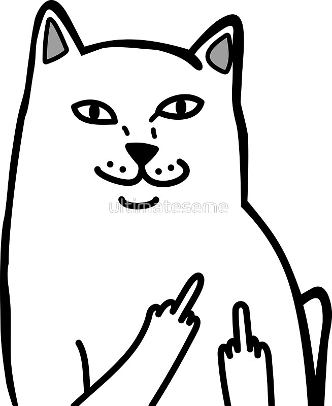 654x800 Middle Finger Cat Stickers By Asianaesthetics Redbubble