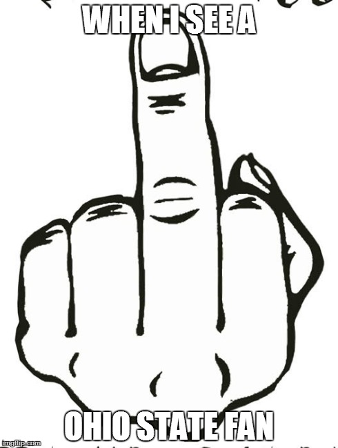 490x649 Custom Image Michigan Wolveriens College Football