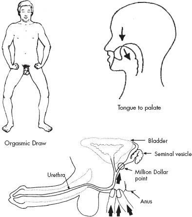394x445 Bone Marrow Nei Kung