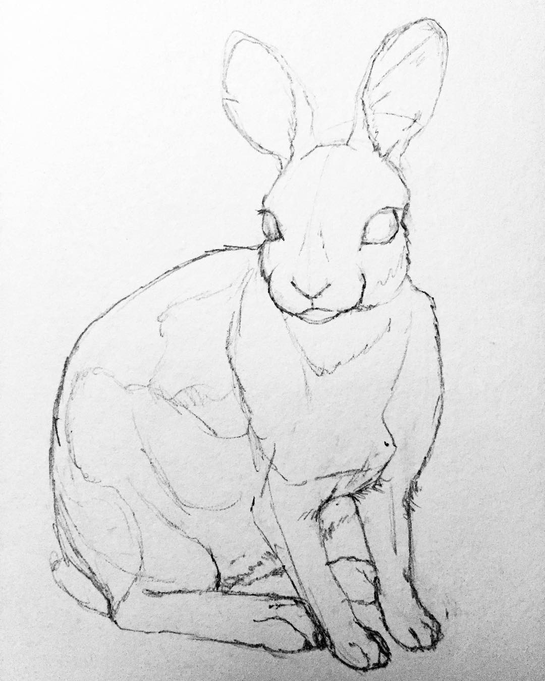 1080x1350 Naturalillustration