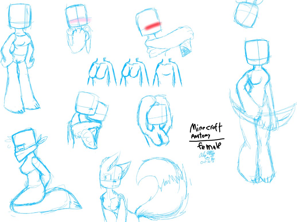 1035x772 Minecraft Anatomy [Female] By Candysugarskullgirl9