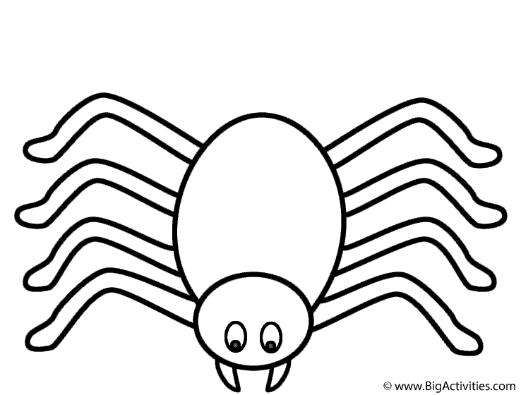 738x560 Spider Coloring Pages Free