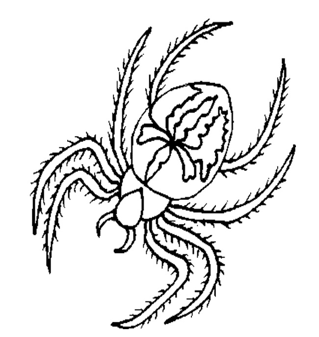 650x686 Spider Shape Template