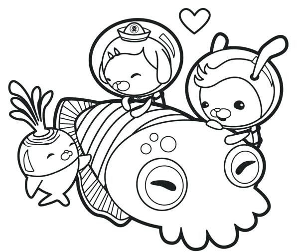 600x505 Squid Coloring Pages Cortefocal.site