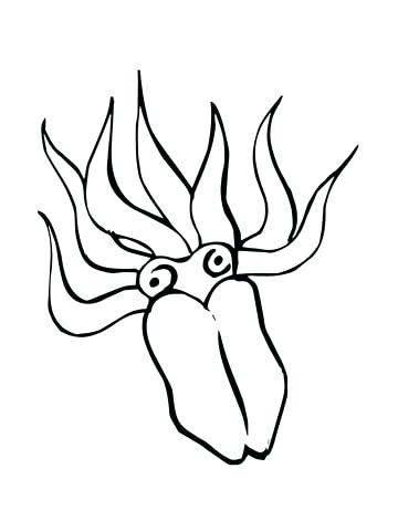 360x480 Good Squid Coloring Page Print Giant Free Printable Pages