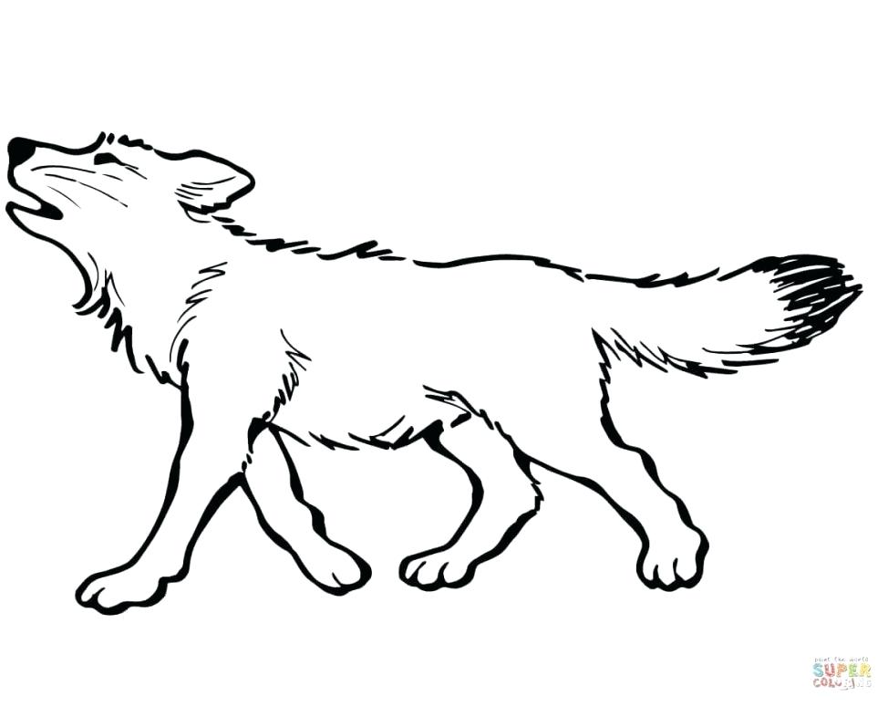 974x774 Wolf Coloring Pages To Print Wolf Coloring Pages To Print Out