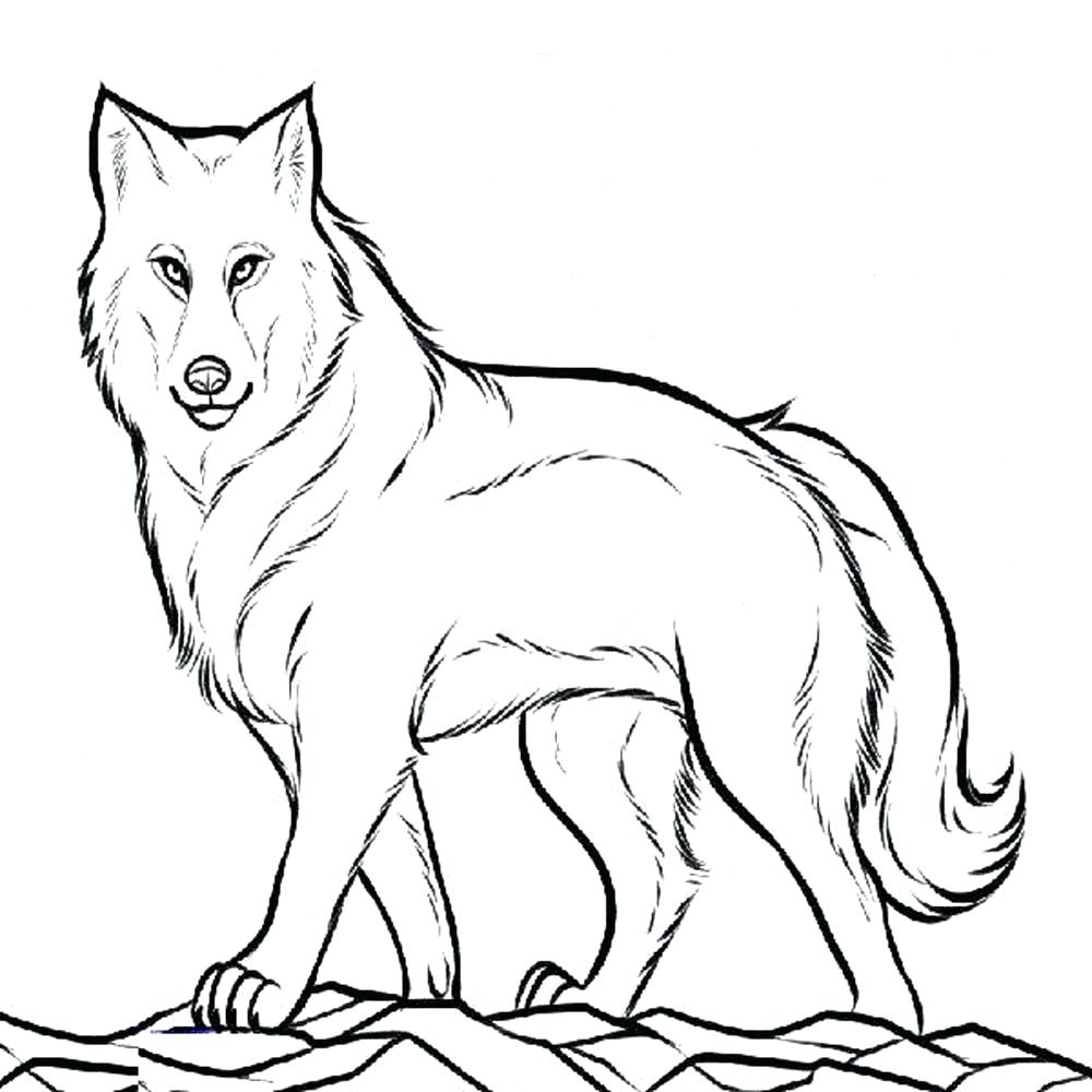 1000x1000 Coloring Coloring Page Of A Wolf Pup Pages Minecraft. Coloring