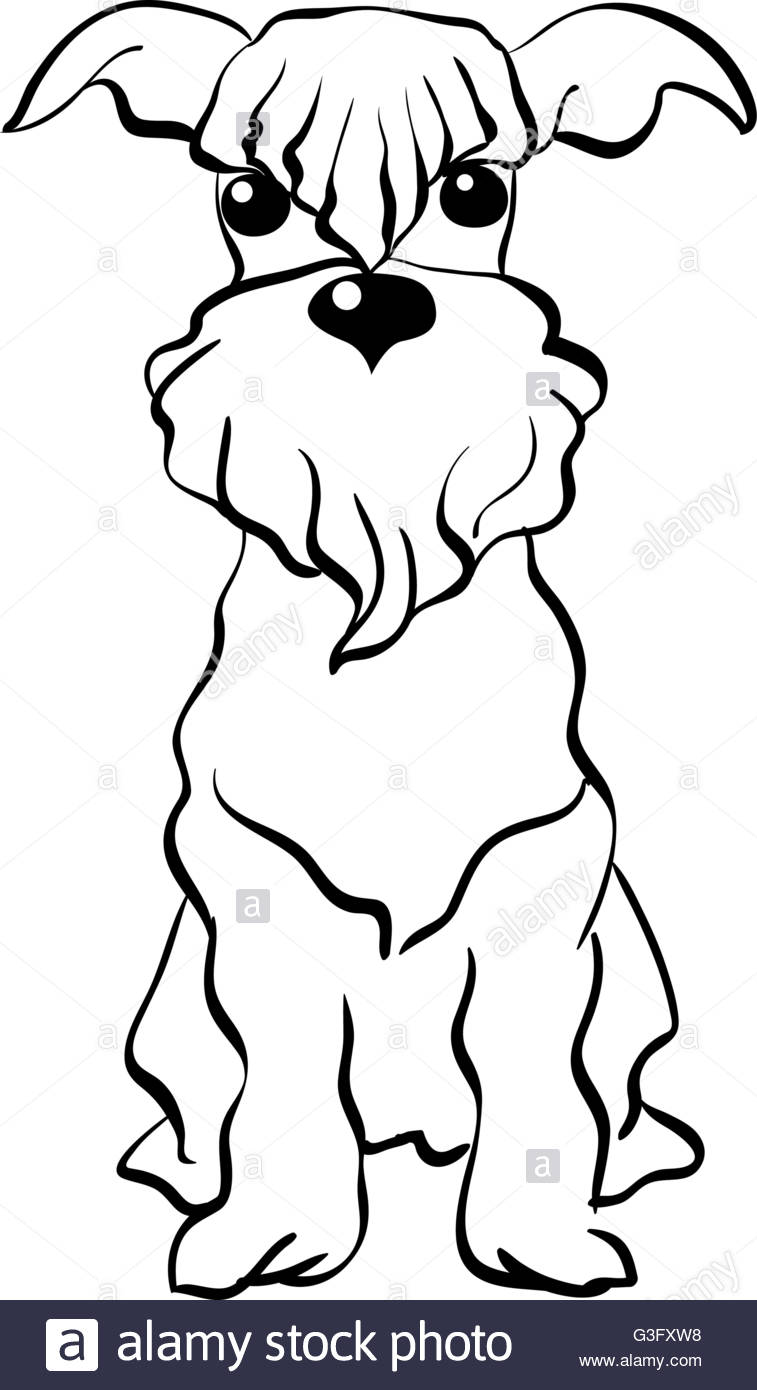 757x1390 Vector Sketch Miniature Schnauzer Dog Sitting Stock Vector Art