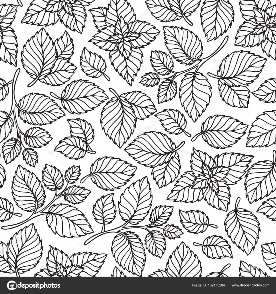 963x1024 Vector Seamless Pattern Of Mint Leaves Stock Vector