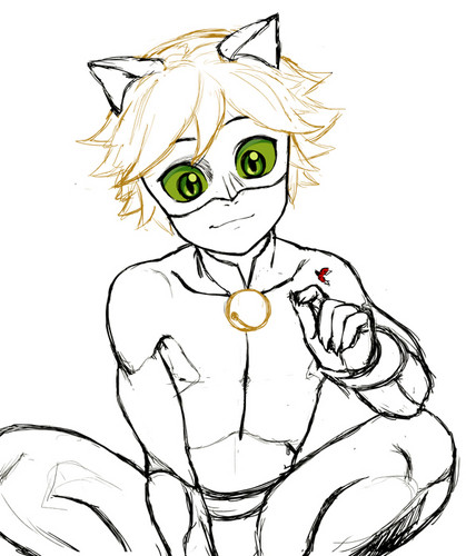 419x500 Miraculous Ladybug Images Chat Noir Wallpaper And Background