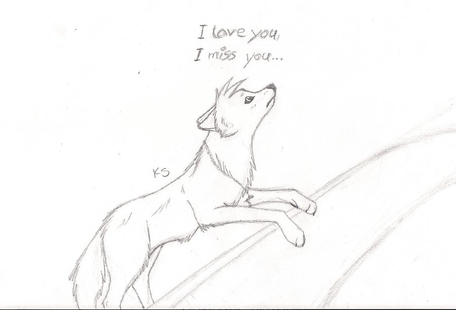 900x611 I Love You, I Miss You By Raashida96