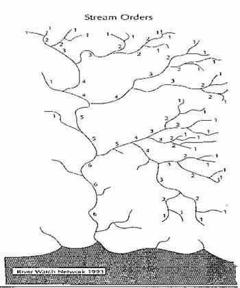 350x420 Pin By Natalie Merrick On Watershed Image Permaculture