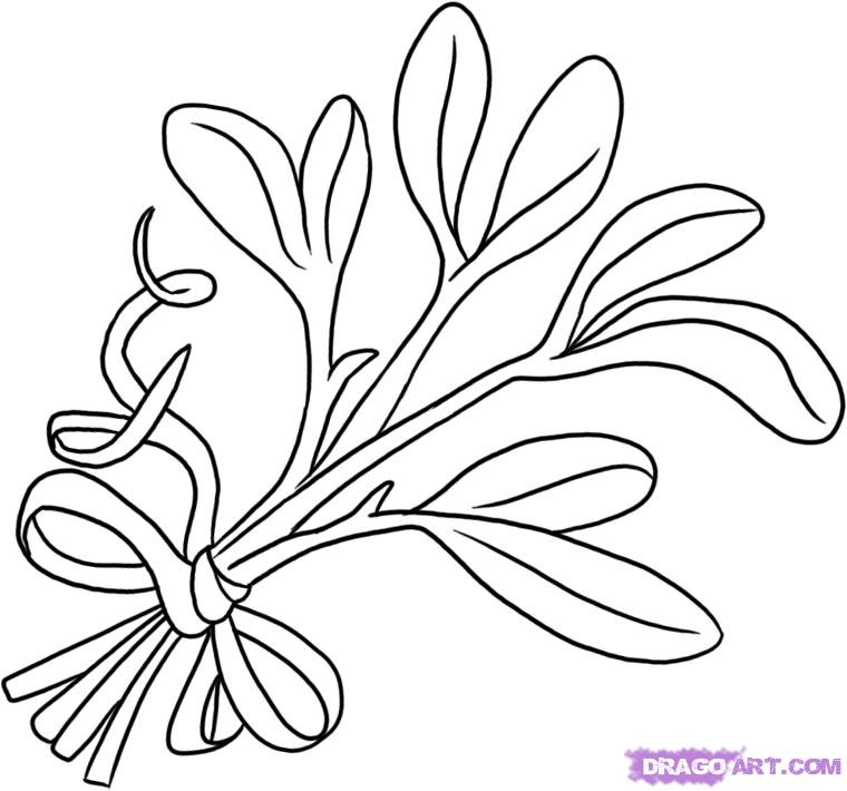 760x710 How To Draw Mistletoe Step By Step Drawing Botanical
