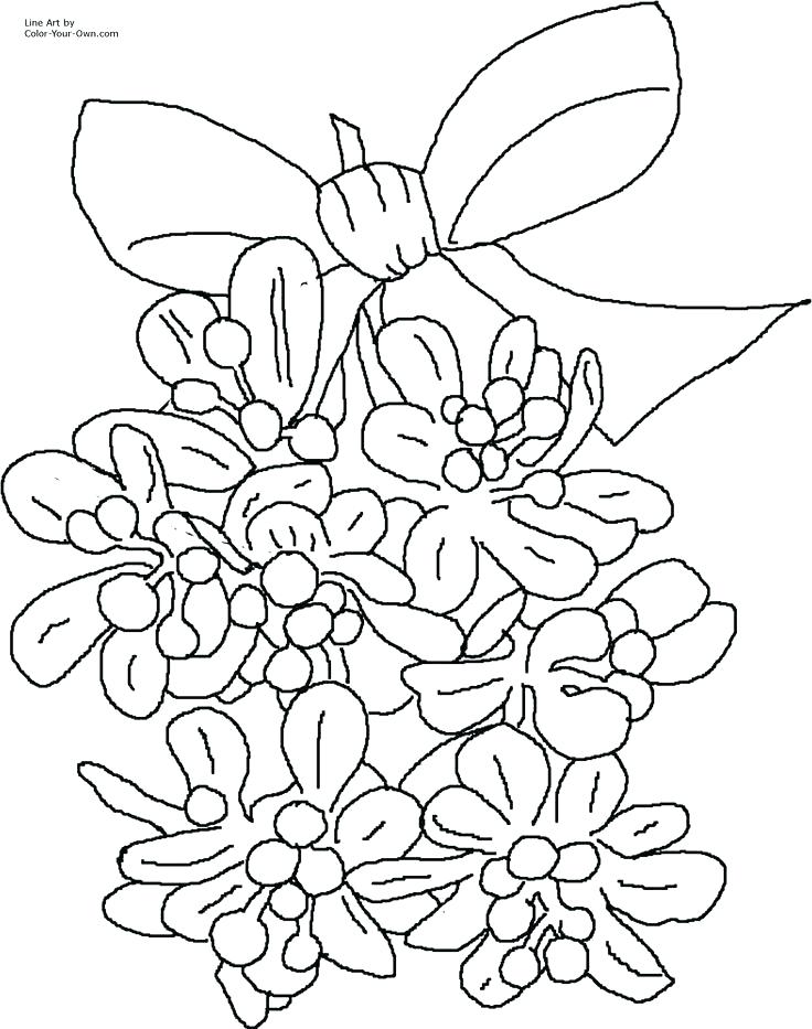 736x933 Mistletoe Coloring Page