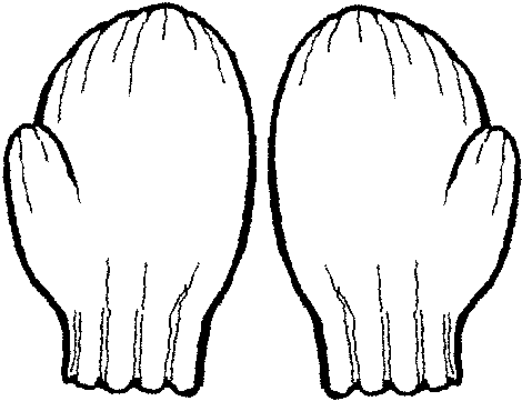 470x361 Mitten Pattern