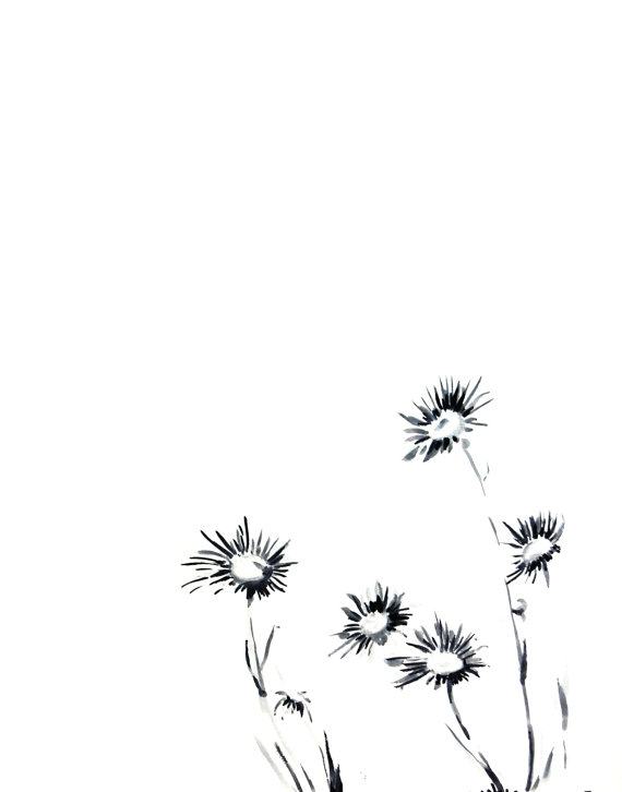570x726 Daisy Flowers Ink Drawing Art Print, Minimalist Black And White