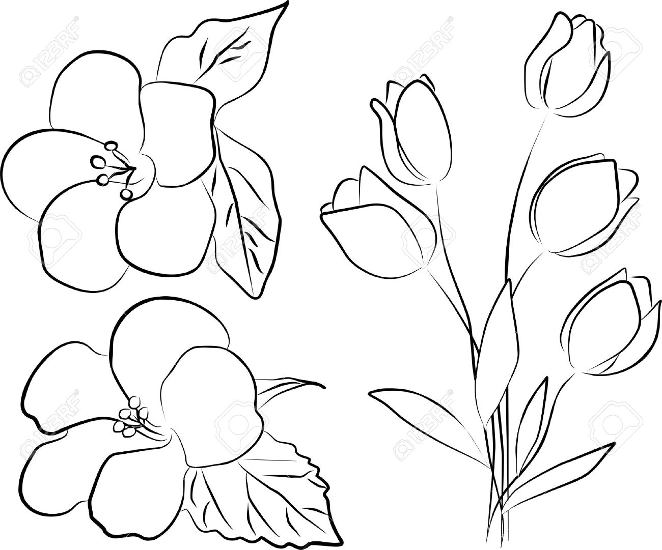 1300x1081 Free Hand Flower Drawings Hand Draw Flowers Royalty Free Stock