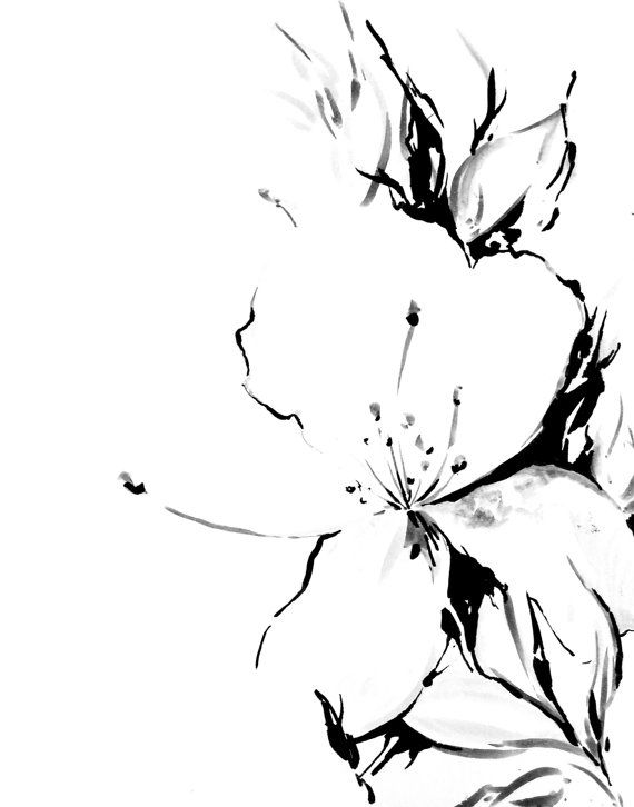 570x726 Jasmine Minimalist Art Print, Black And White Ink Drawing
