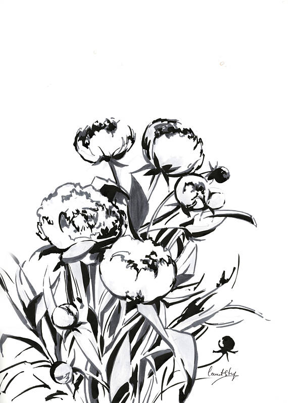 570x797 Peonies Modern Ink Drawing Original Artwork Flowers Black