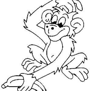 300x300 41 Best Monkeys Images On Kids Net, Monkey And Monkeys