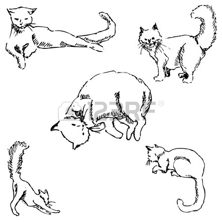 450x450 Monkey. A Sketch By Hand. Pencil Drawing. Vector Image Royalty