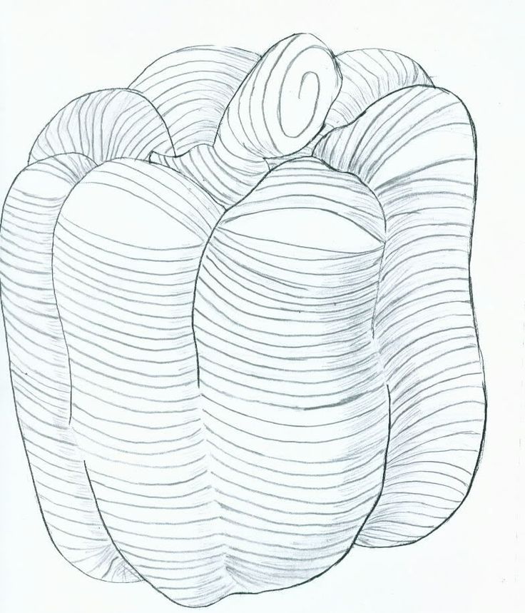 736x859 22 Best Cross Contour Drawings Images On Contour