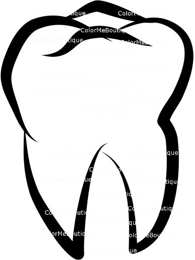 388x517 Tooth Molar Clipart