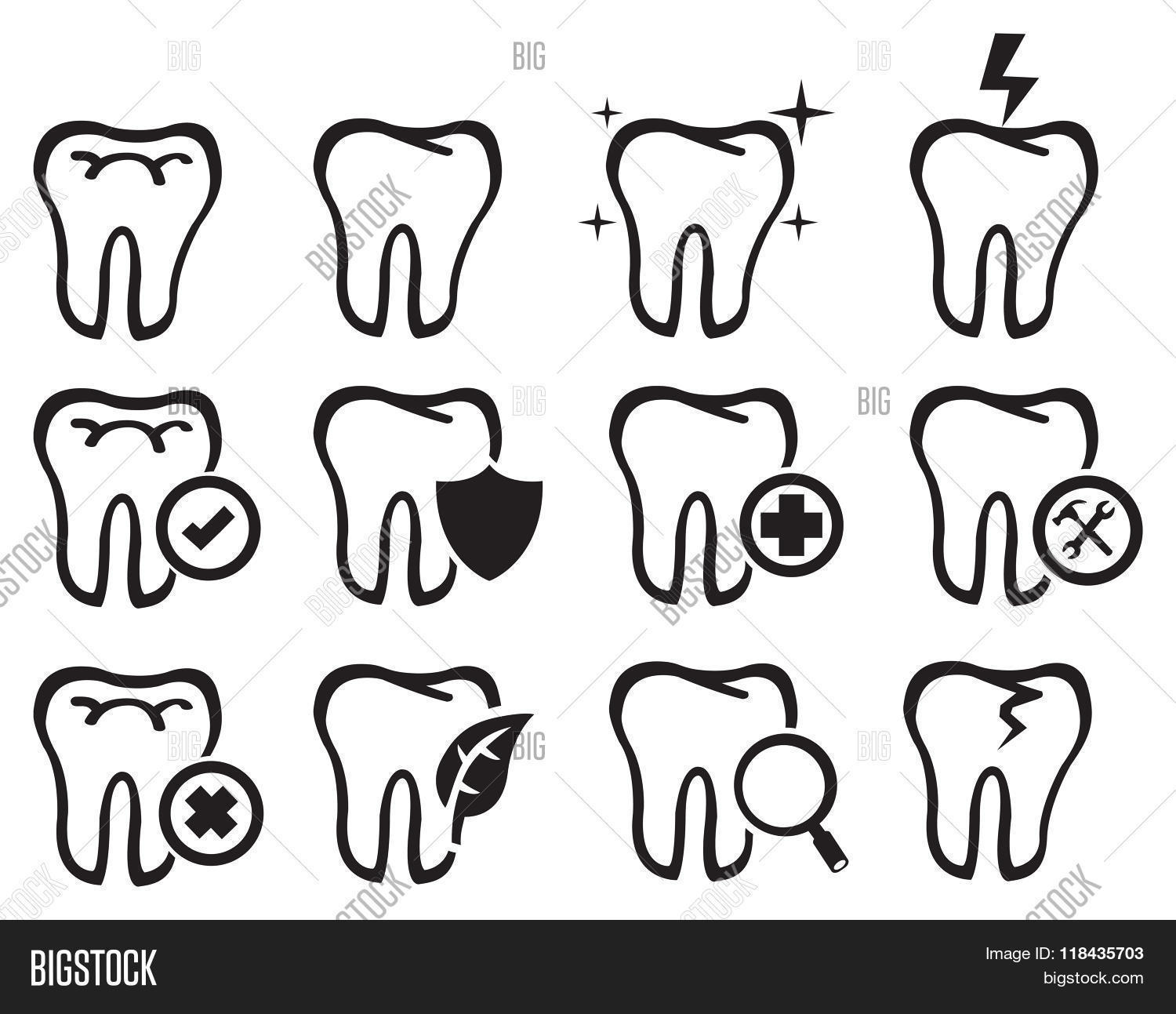 1500x1293 Black White Molar Teeth Vector Vector Amp Photo Bigstock