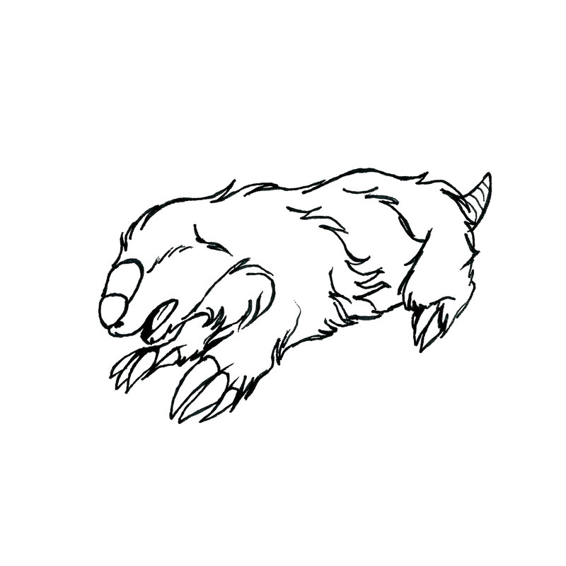 800x800 Marsupial Mole Lineart By Xiphosuras