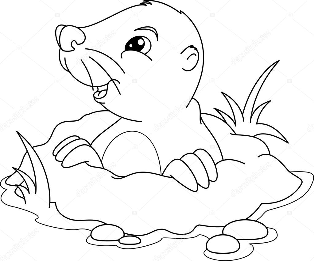 1023x852 Mole Coloring Page Stock Vector Malyaka