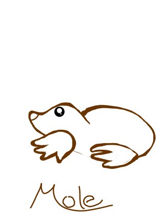 320x419 Mole Drawings