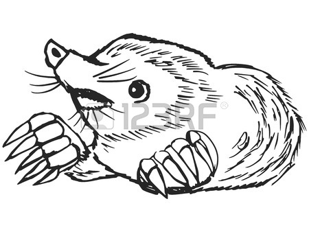 450x338 Cartoon Hand Drawn Illustration Of Mole Royalty Free Cliparts