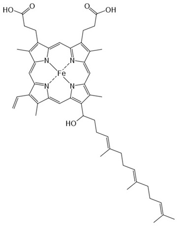 362x458 Heme Group Hemoglobin Amp Definition